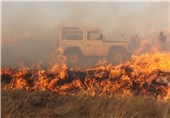 آتش‌سوزی به مناطق جنگلی پارک ملی گلستان رسیده است