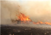 50 هکتار از عرصه‌های جزیره آشوراده در دریای خزر در آتش سوخت