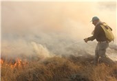 20 هکتار از گندم‌زارهای شهرستان کلاله در آتش سوخت