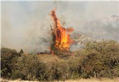 آتش‌سوزی بار دیگر اراضی جنگلی شهرستان کلاله را درنوردید