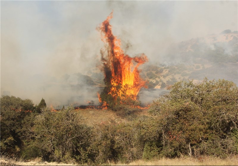 آتش‌سوزی بار دیگر اراضی جنگلی شهرستان کلاله را درنوردید