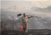 100 هکتار از پارک ملی گلستان در آتش سوخت