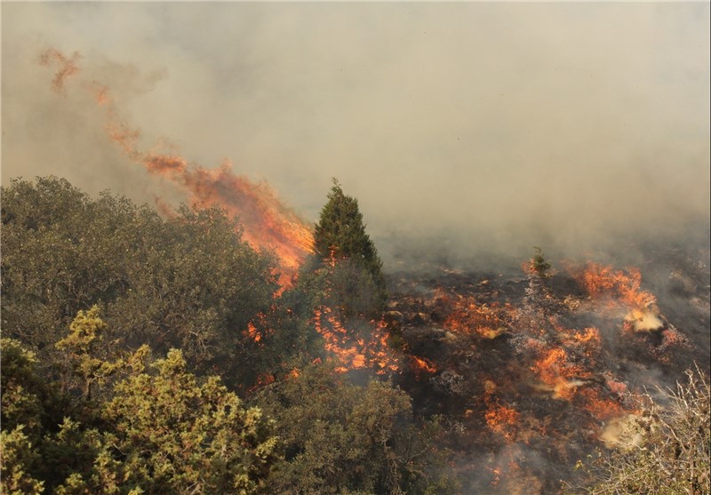 94 هکتار جنگل در پارک ملی گلستان در آتش سوخت