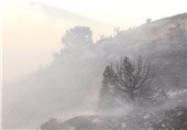 حدود 10 هکتار از اراضی جنگلی استان گلستان در آتش سوخت