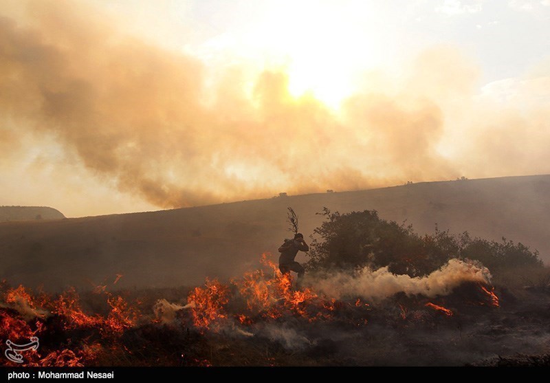 Photos: Fire in Iran’s Golestan National Park - Photo news - Tasnim ...