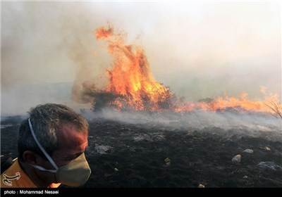 Photos: Fire In Iran’s Golestan National Park - Photo News - Tasnim 