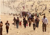 ارتش عراق داعش را در سنجار غافلگیر کرد