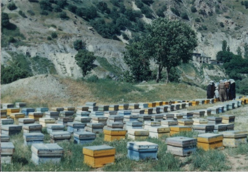 برخورد قاطع با عرضه‌کنندگان عسل در ‌محورهای گردشگری اردبیل