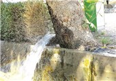 برخورد با بهره‌برداران غیرقانونی از منابع آب در شهرستان نمین تشدید می‌شود