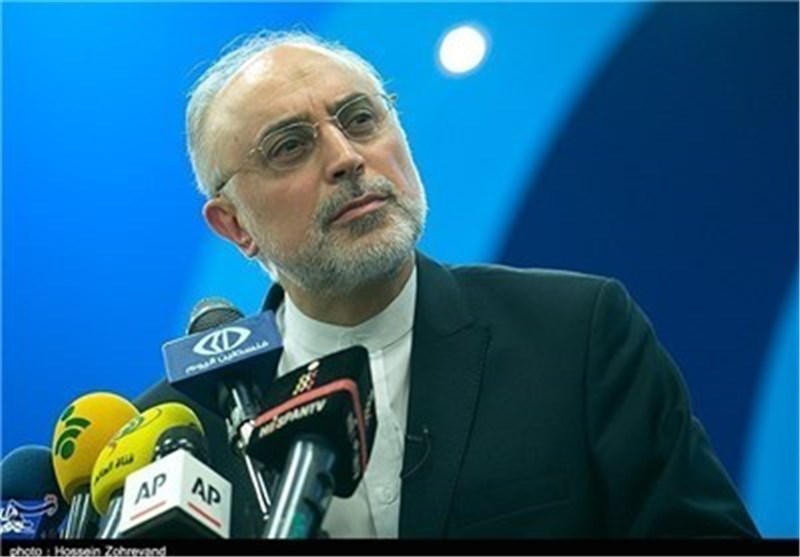 No Uranium Stockpile Shipment out of Iran: AEOI Chief