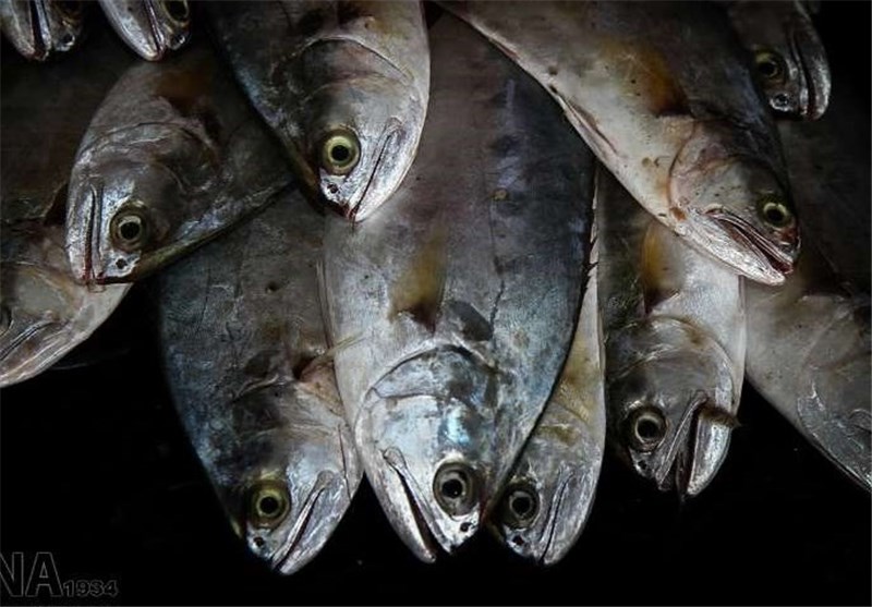 گوشت ماهی از کاهش قدرت شنوایی جلوگیری می‌کند