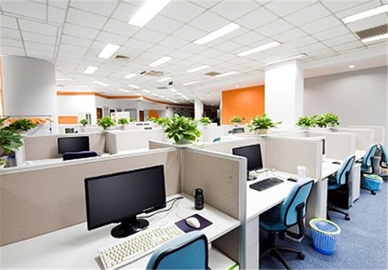 Office Plants Make Workers More Productive
