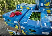 سند توسعه صادرات محصولات کشاورزی در قزوین تدوین می‌شود