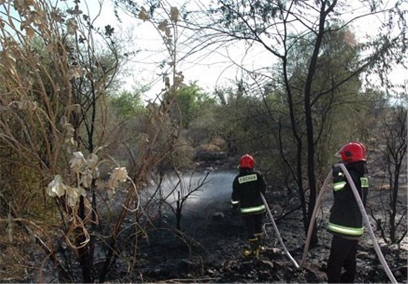 مساحت آتش‌سوزی منابع طبیعی کرمانشاه 24 درصد افزایش یافت‌