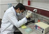 کمیته مشترک نخبگان و پژوهشگران در بوشهر تشکیل می‌شود