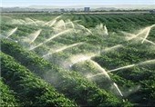 کنترل مصرف آب کشاورزی، نخستین استراتژی احیای دریاچه ارومیه است