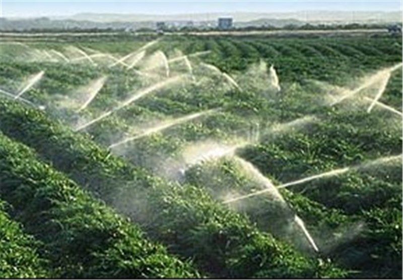 بهینه‌سازی مصرف آب در حوزه کشاورزی ساوه عملیاتی شود