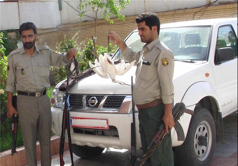 شکارچیان غیرمجاز تشی در دزفول دستگیر شدند