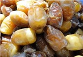 صادرات 40 هزار تنی محصول خرمای جهرم به خارج از کشور
