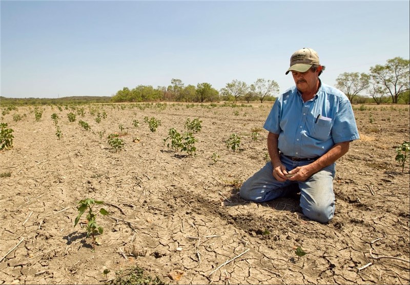 خشکسالی درآمد کشاورزان خراسان شمالی را کاهش داده است