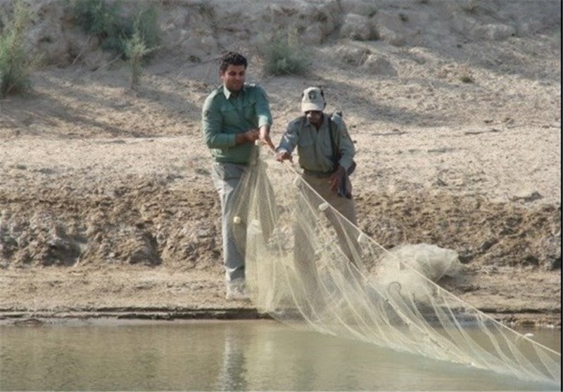 متخلفان شکار و صید غیر مجاز در دشتستان دستگیر شدند