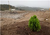 مردم آذربایجان‌غربی مشارکت جدی در درختکاری دارند