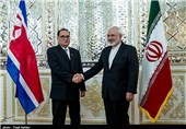 FM: Private Sectors Can Bolster Iran-North Korea Ties