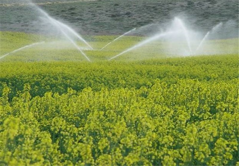 راهکارهای افزایش بهره‌وری آب در مزارع قزوین عملیاتی شود