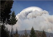 تصاویر آتش سوزی گسترده در جنگل های کالیفرنیا‎