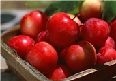 طرح مبارزه با دلالان قیمت میوه را کاهش نداد