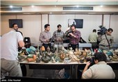 کشف 900 سکه‌‌ دوره ساسانی و اشیاء دوره هخامنشی در رودبار/ 7 متهم در این زمینه دستگیر شدند