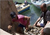 تصاویر صنعت ماهیگیری لبنان در آستانه نابودی‎