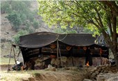13 درصد جمعیت خراسان جنوبی را عشایر تشکیل می‌دهند