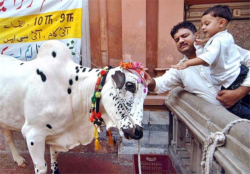 فلسفه قربانی و اقسام آن در اسلام