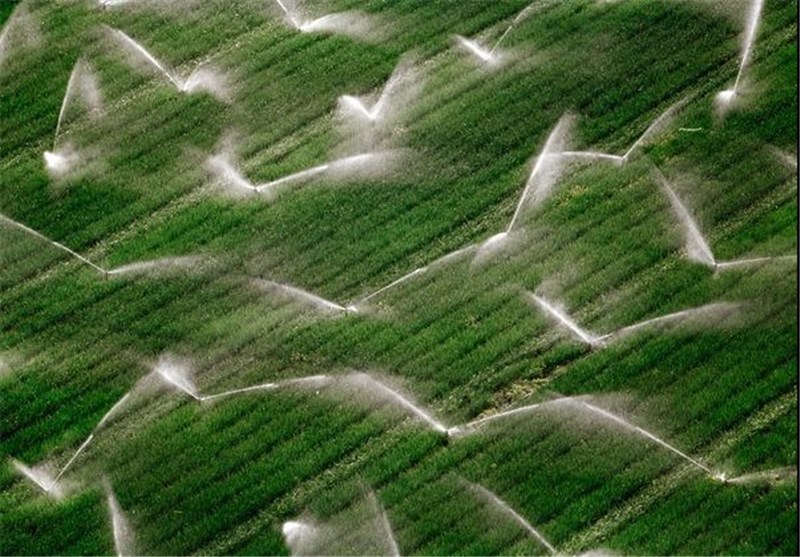بیش از 4 هزار هکتار از زمین‌های کشاورزی اردبیل به صورت شبکه‌ای آبیاری می‌شود