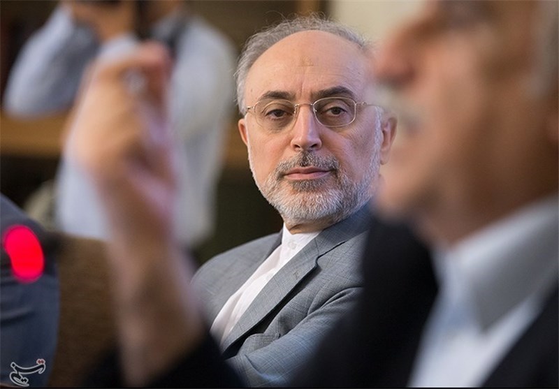 رئیس منظمة الطاقة الذریة : ایران الاسلامیة مستعدة للتعاون مع الدول التی ترغب بامتلاک التکنولوجیا النوویة