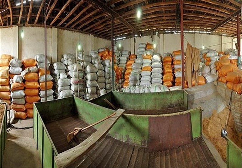 واردات برنج خارجی به مازندران ممنوع شد