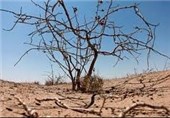 بحران آب در 19 شهر استان فارس؛ ‌نوبت‌‌بندی‌های 4 ساعته آب ‌‌