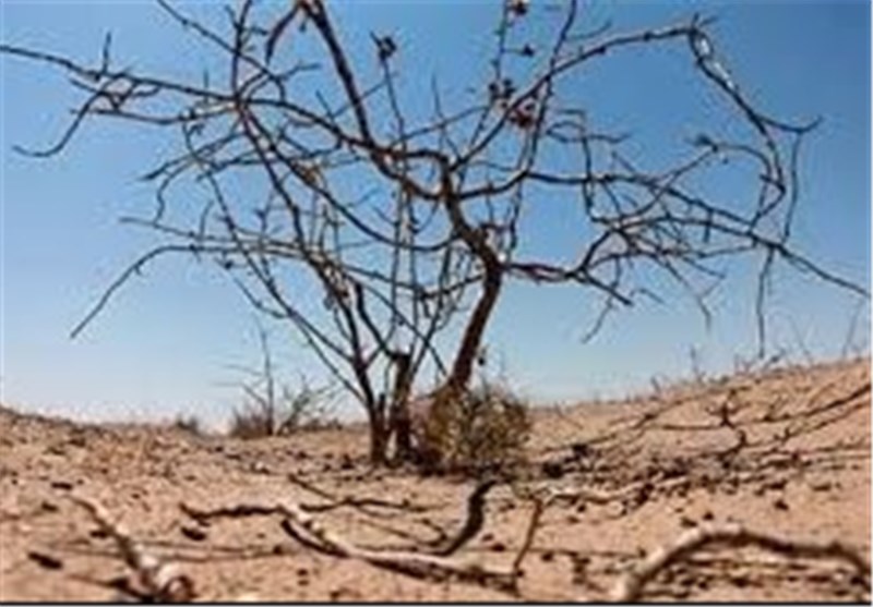 بحران آب در 19 شهر استان فارس؛ ‌نوبت‌‌بندی‌های 4 ساعته آب ‌‌