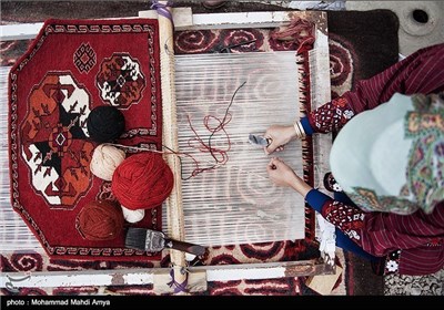 8th Festival of Persian Tribes, Culture Underway in Gorgan