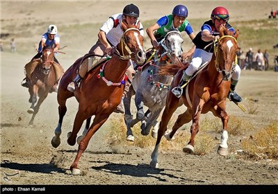 اسب اصیل ترکمن و چرخ توسعه استان خراسان شمالی