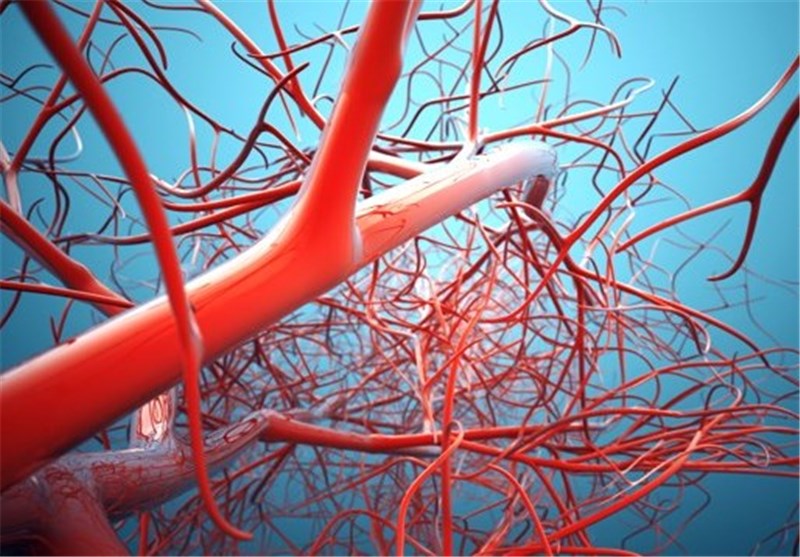 New Cells Meant to Form Blood Vessels Developed