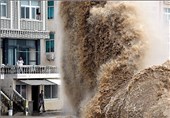 تصاویر طوفان ونگ فونگ در چین و ژاپن