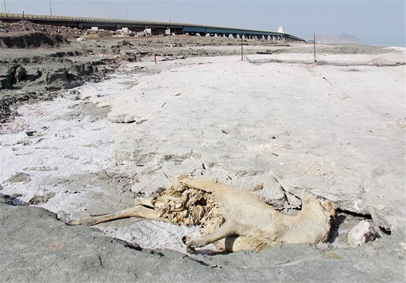 تبعات خشکی دریاچه ارومیه از شیوع سرطان تا افزایش فشار خون حاشیه‌نشینان