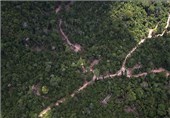 تصاویر جنگل زدایی در آمازون