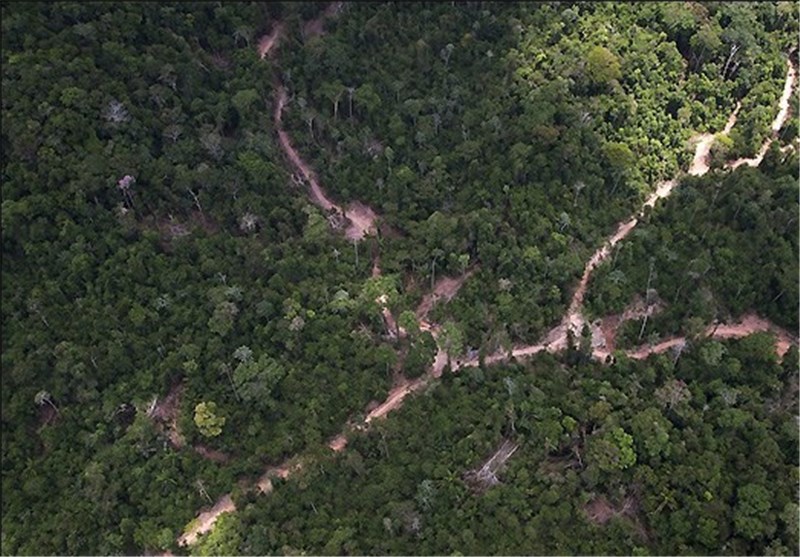 تصاویر جنگل زدایی در آمازون