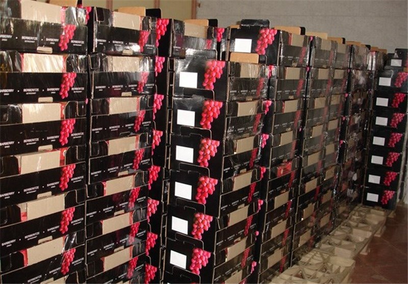 32 هزار تن محصول کشاوزی لرستان امسال صادر شد