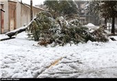 100 تماس با آتش‌نشانی تهران درباره سقوط اجسام