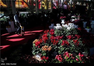 Seasonal Exhibition of Flower and Plant Wraps Up in Tehran