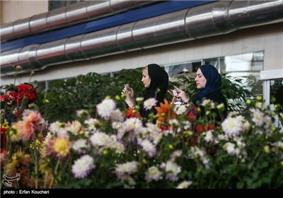 Seasonal Exhibition of Flower and Plant Wraps Up in Tehran